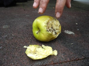 DIA MUNDIAL DE LA ERRADICACION DE LA POBREZA