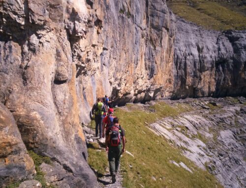SENDERISMO OTOÑAL EN PIRINEOS Y SIERRA DE GUARA Descubre los  caminos del Pirineo Aragonés y la Sierra de Guara y, por qué no, de los Valles Franceses de Aspe y Ossau: La faja de las Flores o de Pelay en Ordesa, le Chemin de la Mature en el Valle de Aspe, el Camino de Santiago aragonés en el Valle del Aragón… son solo alguna de nuestras propuestas para disfrutar de los paisajes multicolores del otoño
