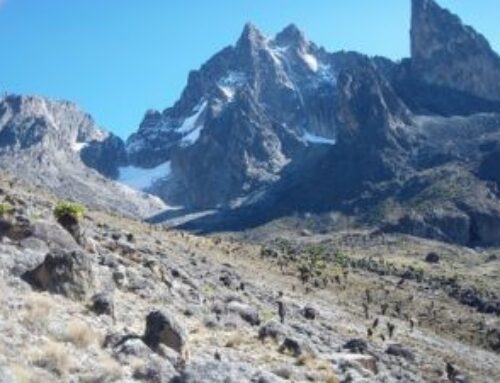  TREKKING DEL MONTE KENYA, ascensión a la Punta Lenana (4.985 m). Vegetación exuberante, que va desapareciendo hasta llegar a la alta montaña, con sus cimas y glaciares y una vista inolvidable…. la salida del sol sobre las planicies de África. Salidas con Guía Local todo el año.