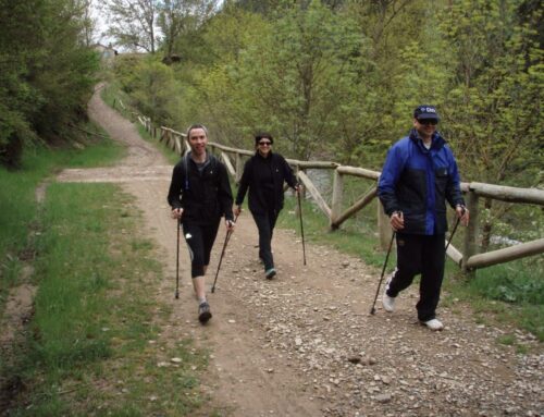 NORDIC WALKING O MARCHA CON BASTONES. La  marcha nórdica (en inglés, Nordic Walking) es un deporte de resistencia y ejercicio al aire libre que consiste en caminar con la ayuda de bastones similares a los utilizados en el esquí. Podemos disfrutar de los senderos, en familia o con amigos, un completo deporte que puede practicar todo el mundo en cualquier época del año.